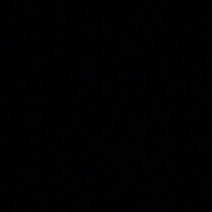 Meet your Posher, Gavin